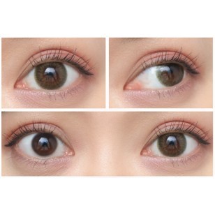 (EC1008)EverColor 1day Moisture &UV Melty Olive 10片裝